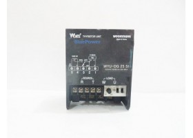 Thyristor Power, WYU-DG 25 SI, Wyes, Korea
